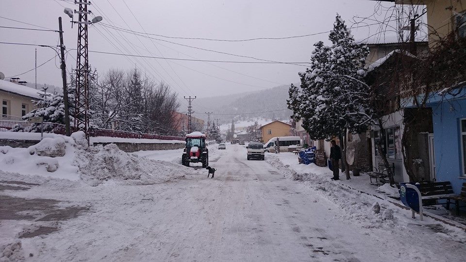Ovacık Güneysaz Köyü Resimleri 1