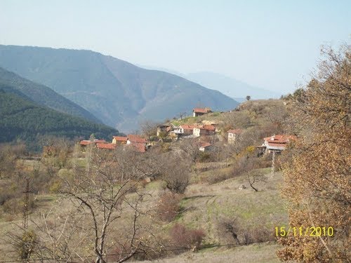 Ovacık Güneysaz Köyü Resimleri 2