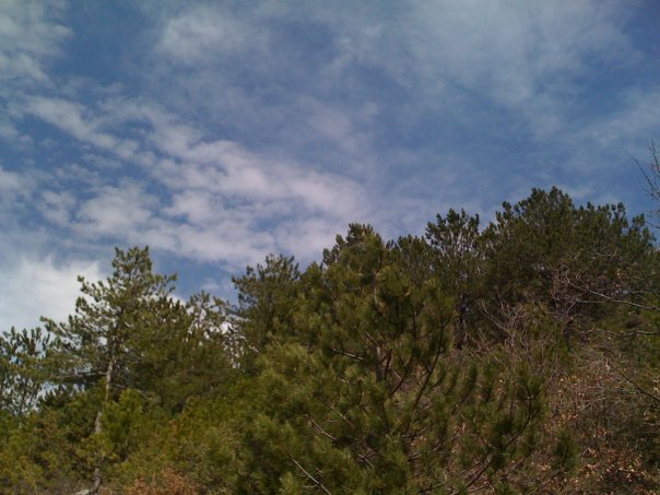 Ovacık Güneysaz Köyü Resimleri 4