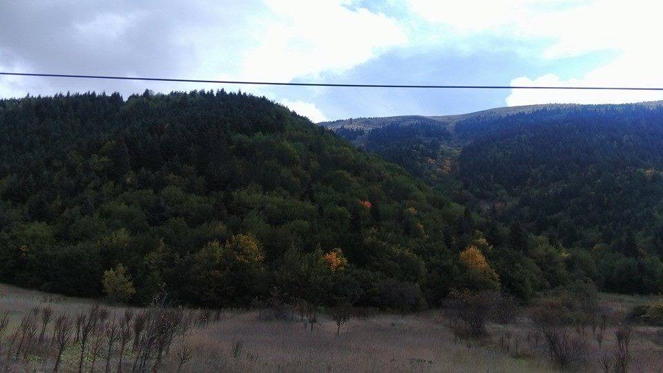 Bayramören Belenli Köyü Resimleri 2