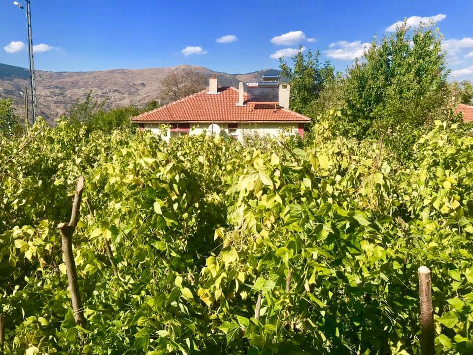 Bayramören Belenli Köyü Resimleri 5