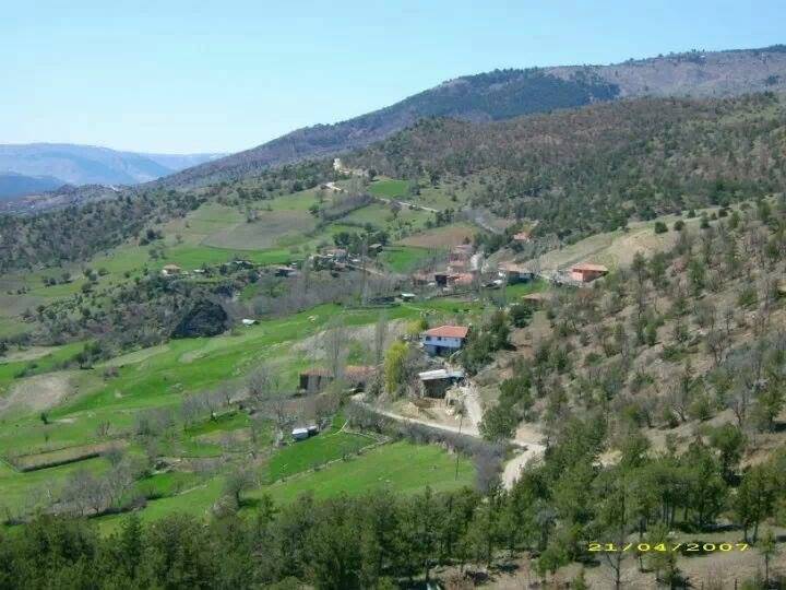 Bayramören Boğazkaya Köyü Resimleri 1
