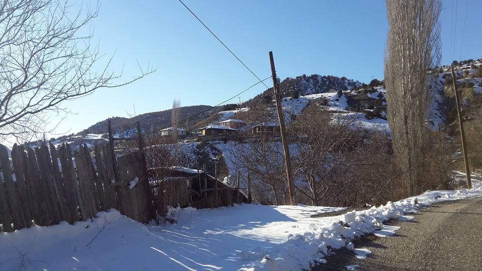 Bayramören Boğazkaya Köyü Resimleri 5