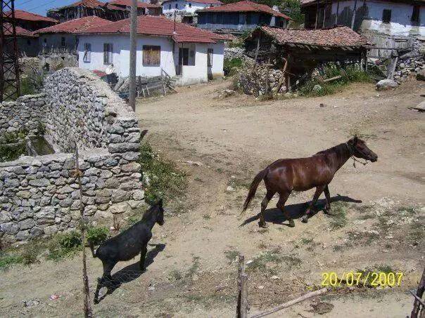 Bayramören Çakırbağ Köyü Resimleri 4