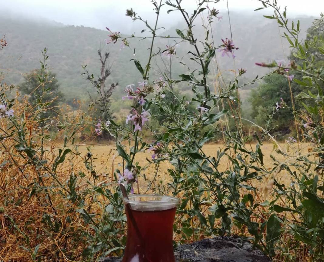 Bayramören Dolaşlar Köyü Resimleri 8
