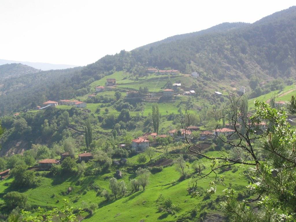 Bayramören Göynükören Köyü Resimleri 1