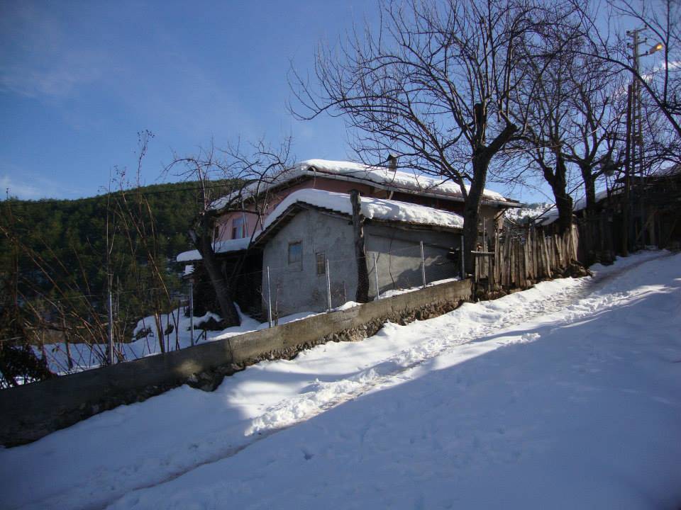 Bayramören Göynükören Köyü Resimleri 2