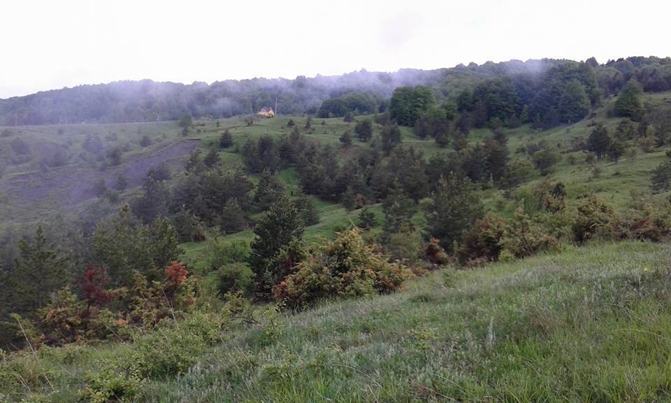 Bayramören Göynükören Köyü Resimleri 7