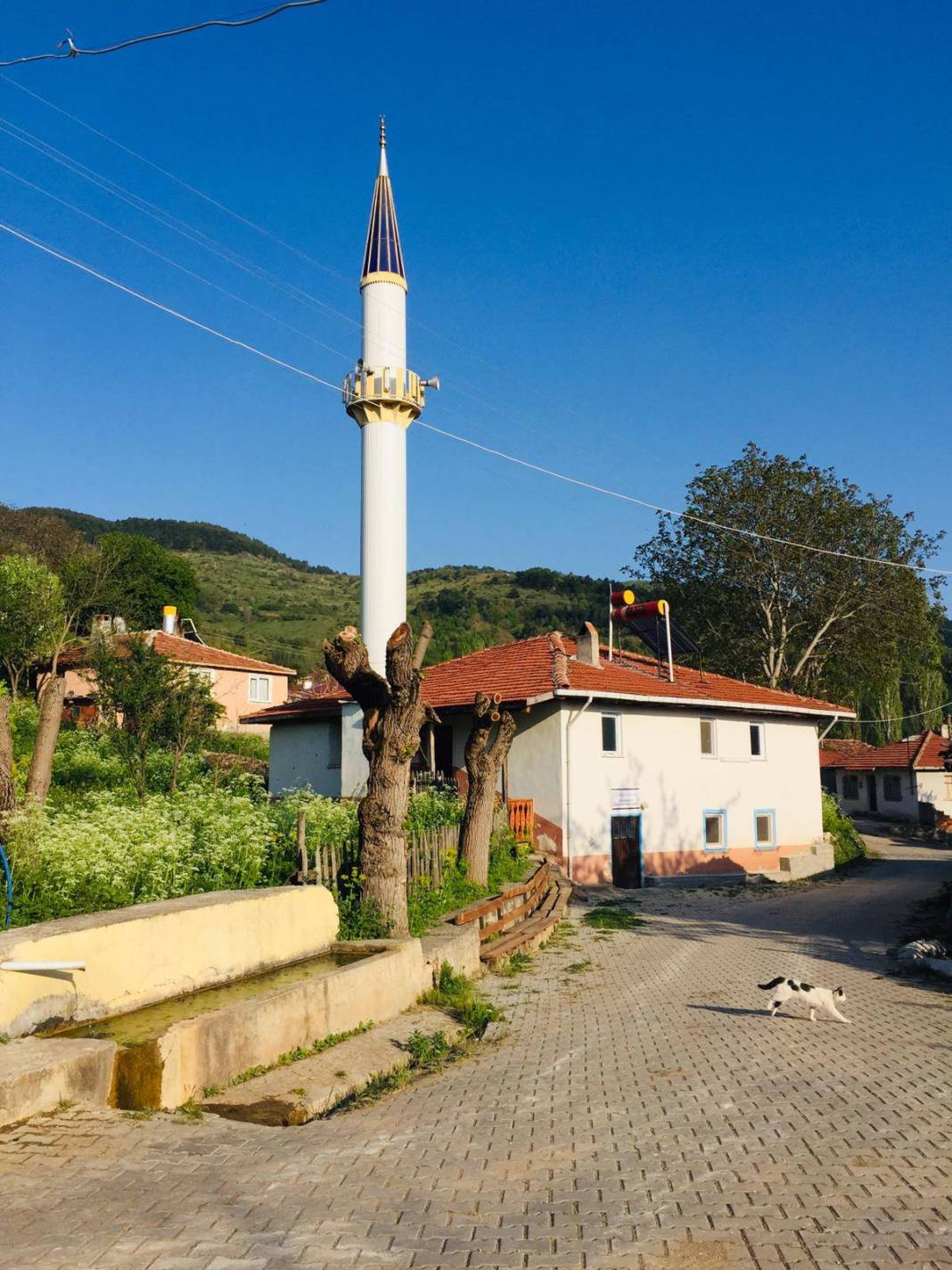 Bayramören İncekaya Köyü Resimleri 4