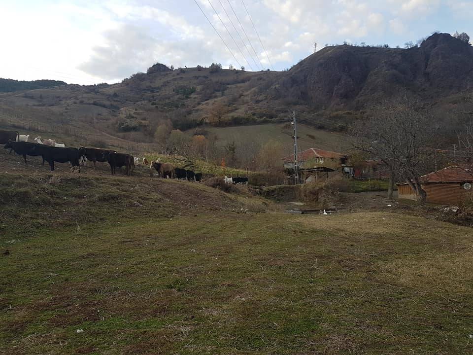 Bayramören Oluklu Köyü Resimleri 5