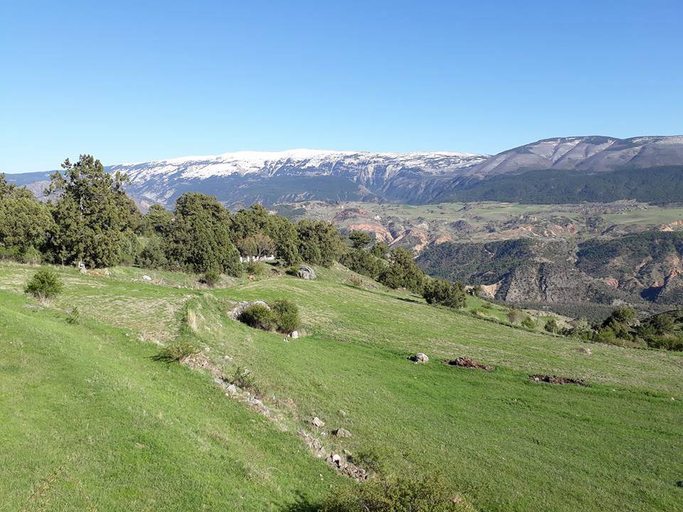 Bayramören Oymaağaç Köyü Resimleri 3