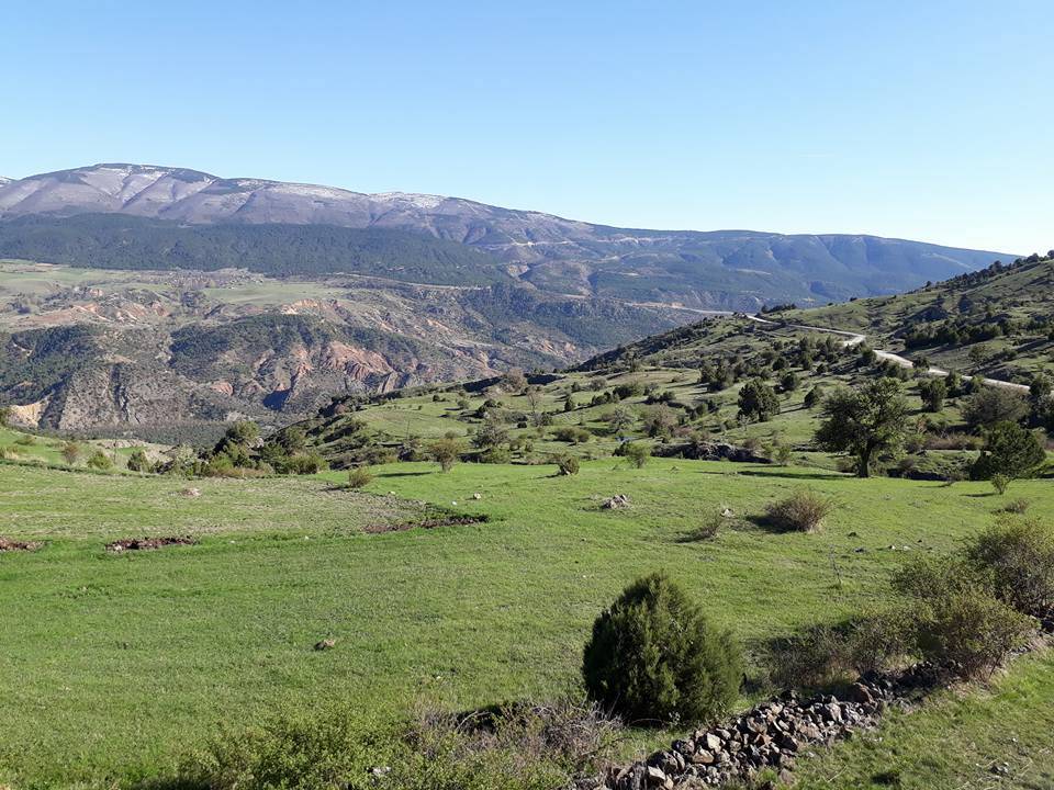 Bayramören Oymaağaç Köyü Resimleri 4