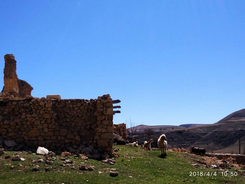 Ayrancı Büyükkoraş Köyü Resimleri 11