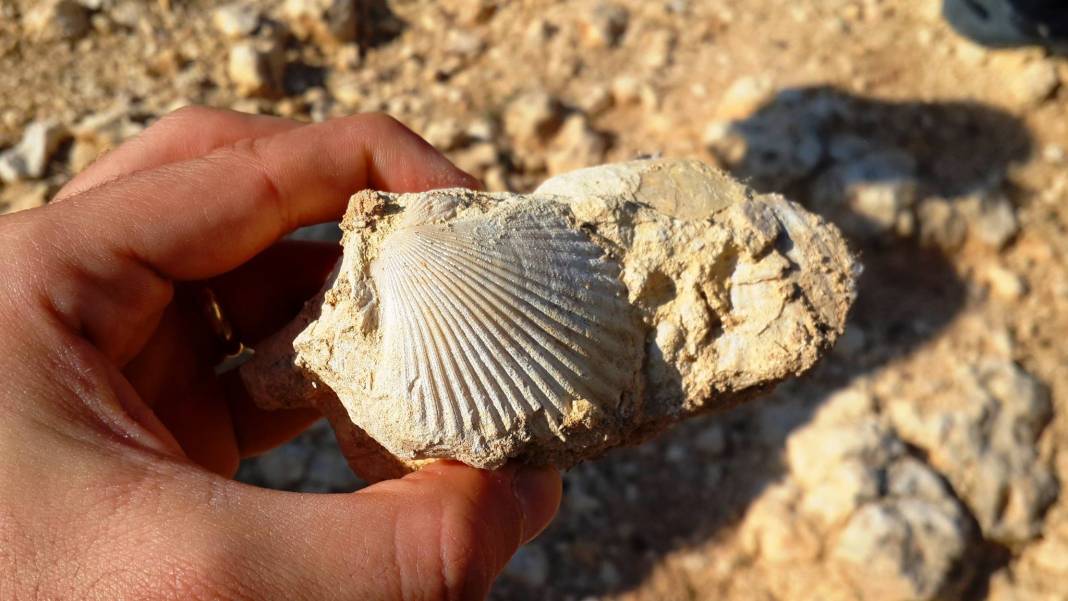 Ayrancı Büyükkoraş Köyü Resimleri 5