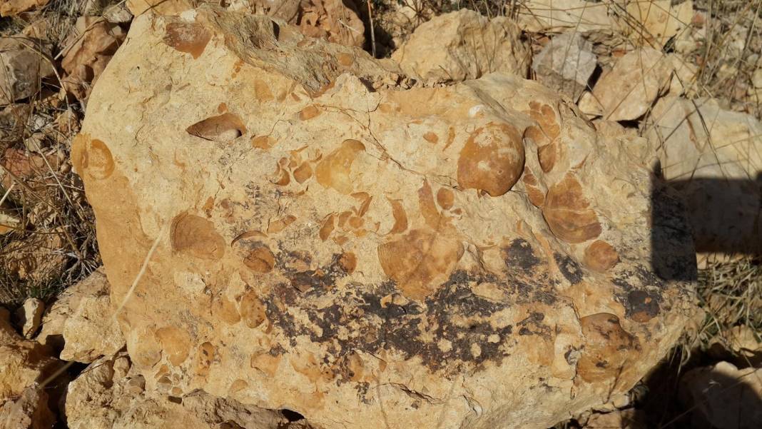 Ayrancı Büyükkoraş Köyü Resimleri 6