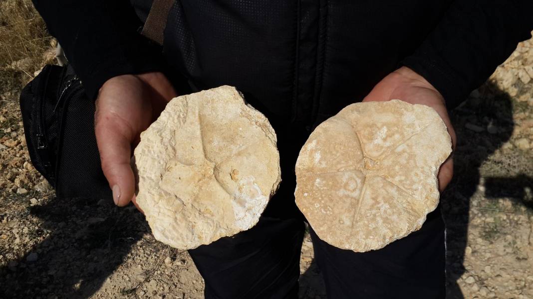 Ayrancı Büyükkoraş Köyü Resimleri 7