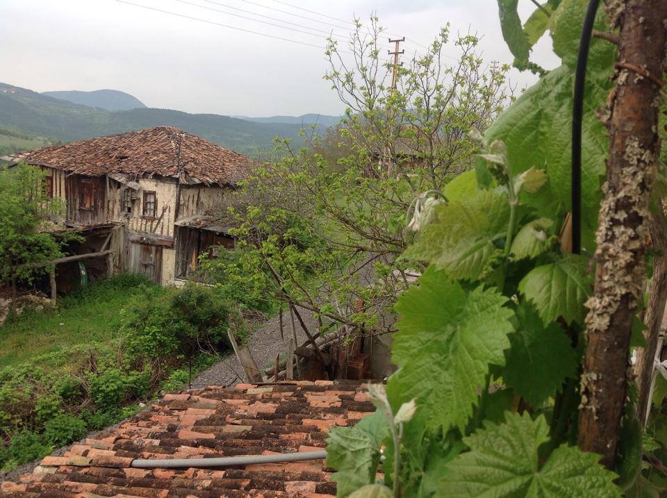 Ovacık Küçüksu Köyü Resimleri 1