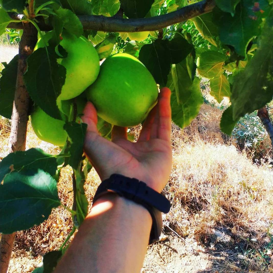 Başyayla Bozyaka Köyü Resimleri 1