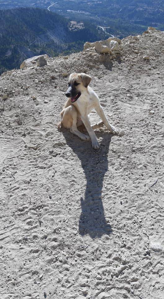 Ermenek Yalındal Köyü Resimleri 7