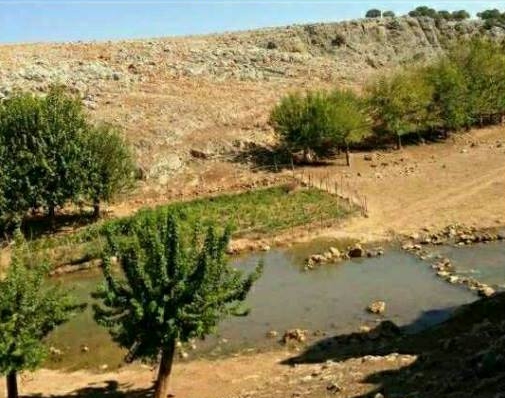 Adıyaman Besni Dikilitaş Köyü Resimleri 21