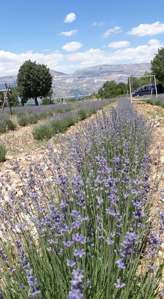 Ermenek Gökçekent Köyü Resimleri 13