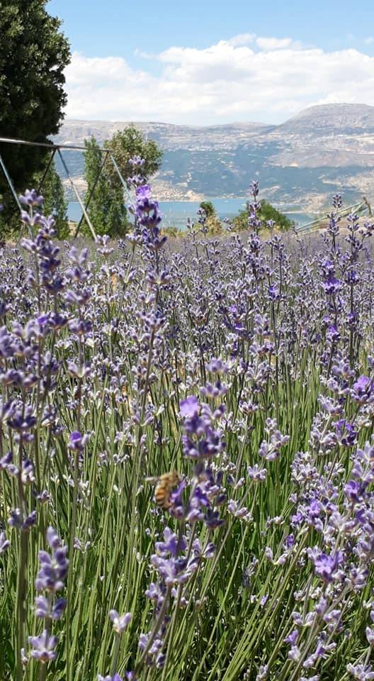 Ermenek Gökçekent Köyü Resimleri 5