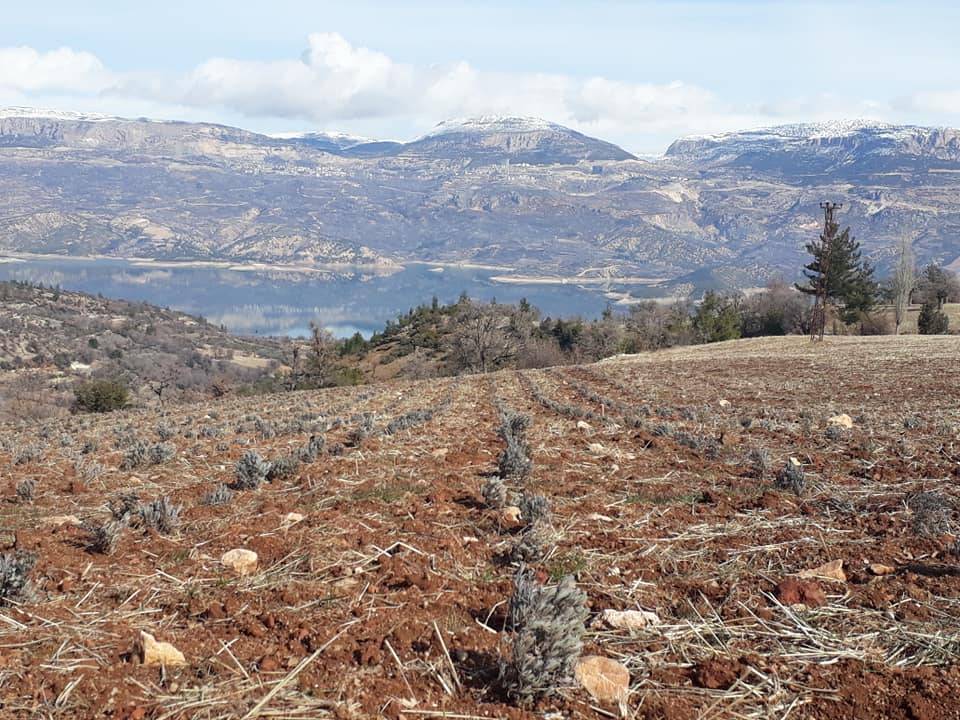 Ermenek Gökçekent Köyü Resimleri 6