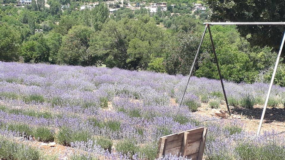 Ermenek Gökçekent Köyü Resimleri 8
