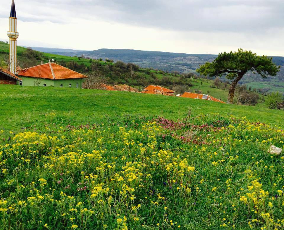 Ovacık Sarılar Köyü Resimleri 13