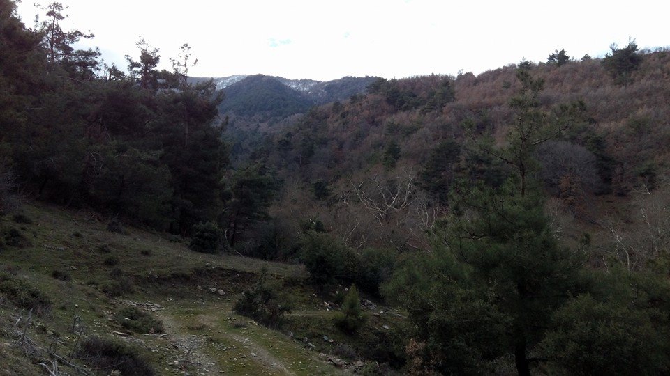 Ovacık Sarılar Köyü Resimleri 3