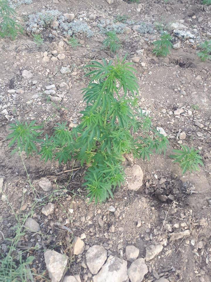 Ermenek Görmeli Köyü Resimleri 10