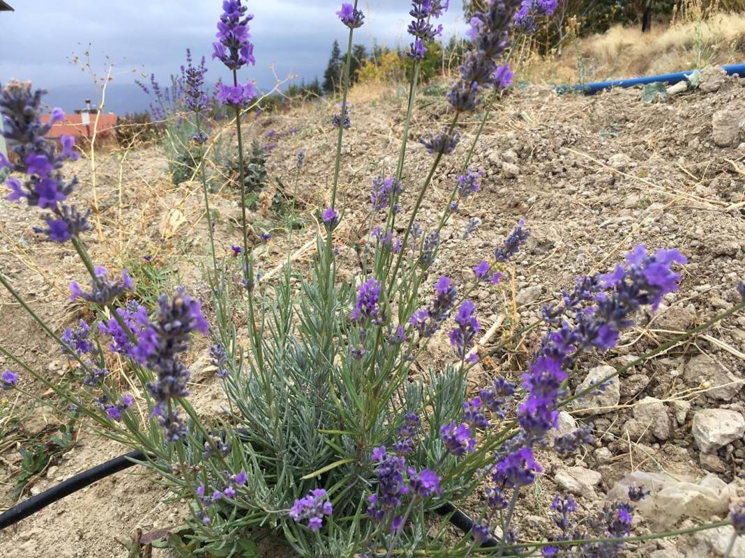 Ermenek Görmeli Köyü Resimleri 13