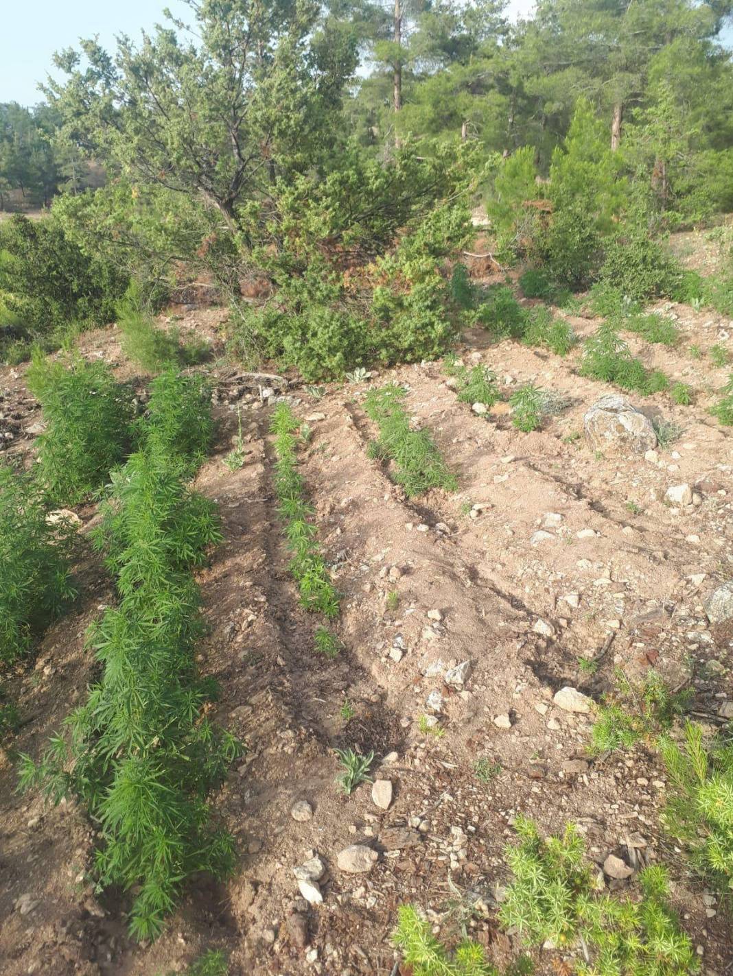 Ermenek Görmeli Köyü Resimleri 14