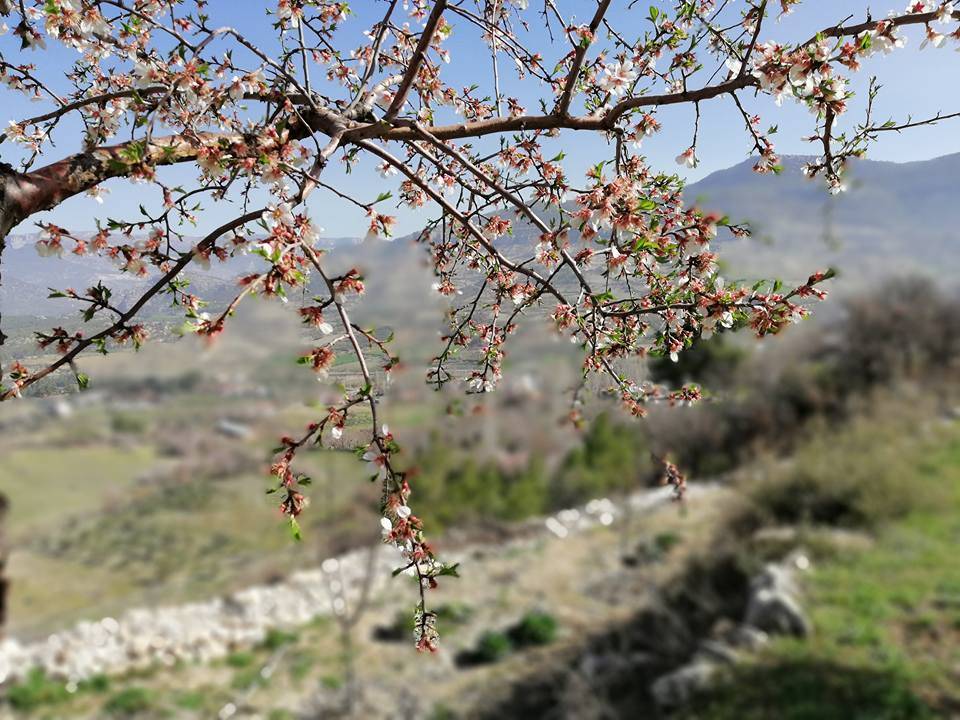 Ermenek Görmeli Köyü Resimleri 3