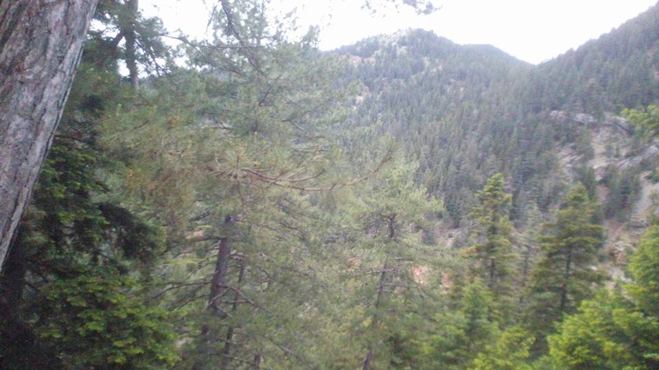 Sarıveliler Dumlugöze Köyü Resimleri 7