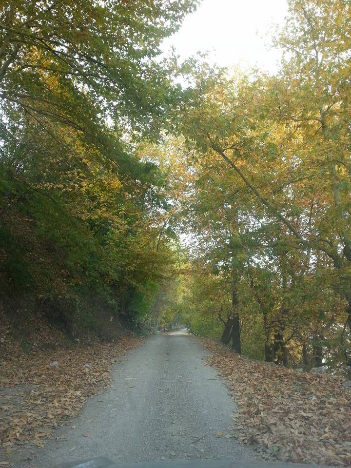 Sarıveliler Dumlugöze Köyü Resimleri 8