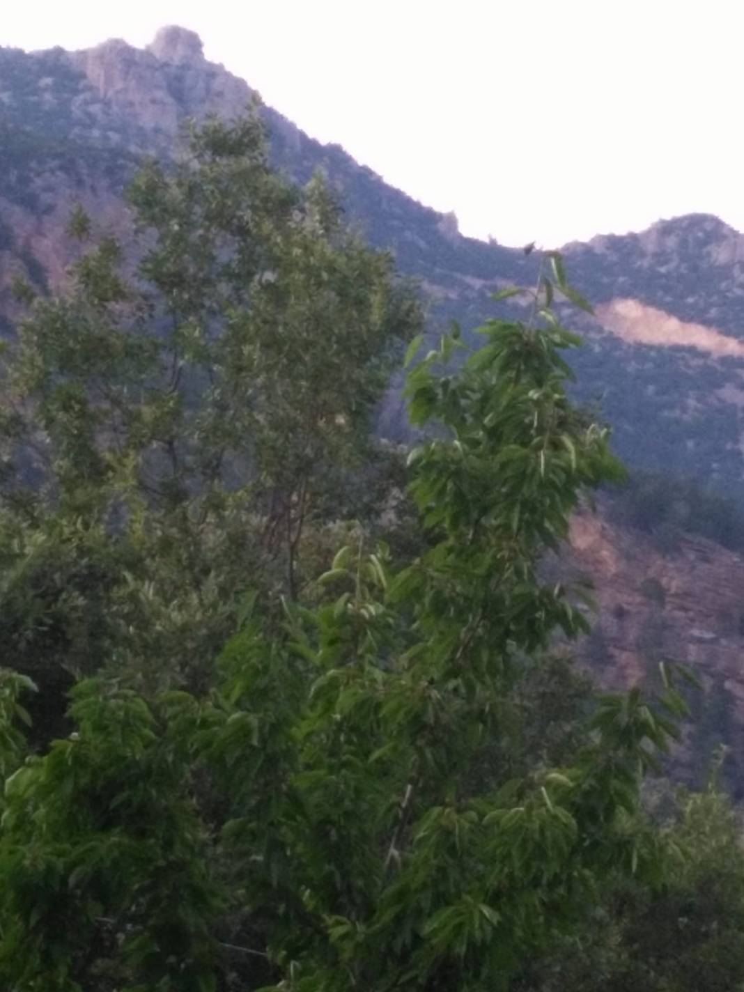 Sarıveliler Koçaşlı Köyü Resimleri 11