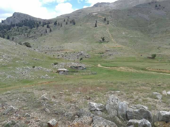 Sarıveliler Koçaşlı Köyü Resimleri 16