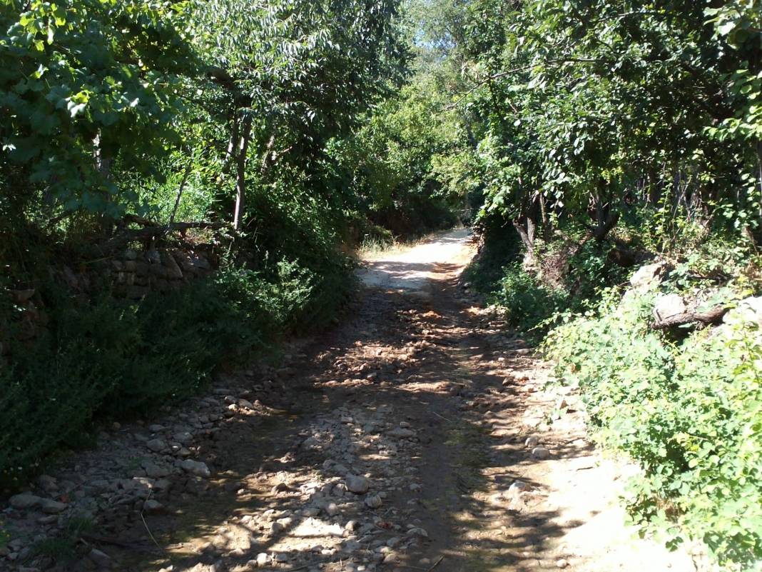 Sarıveliler Koçaşlı Köyü Resimleri 4