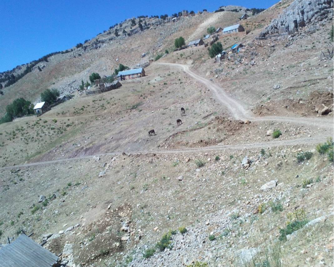 Sarıveliler Koçaşlı Köyü Resimleri 5