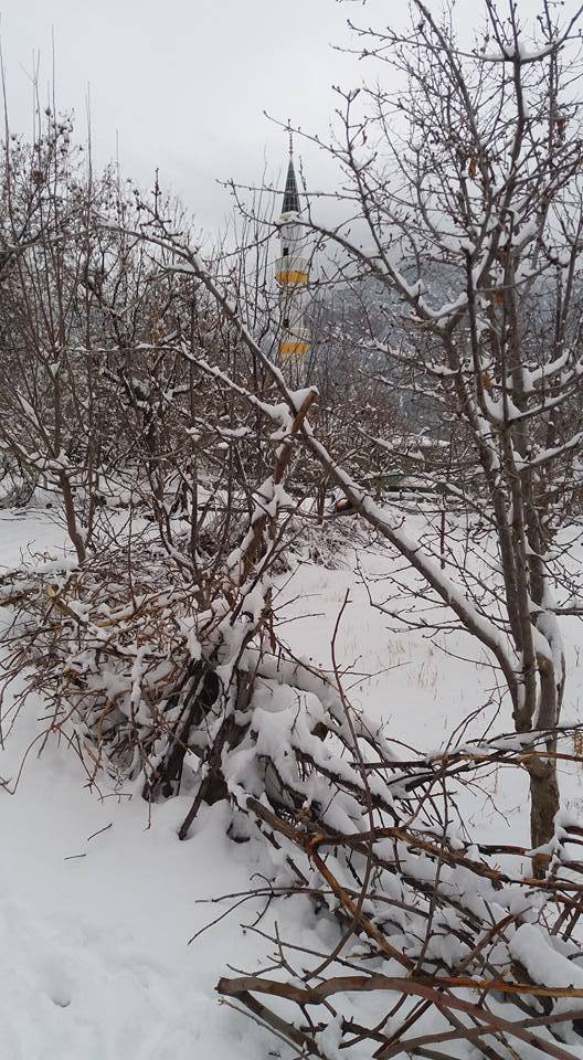 Sarıveliler Koçaşlı Köyü Resimleri 8