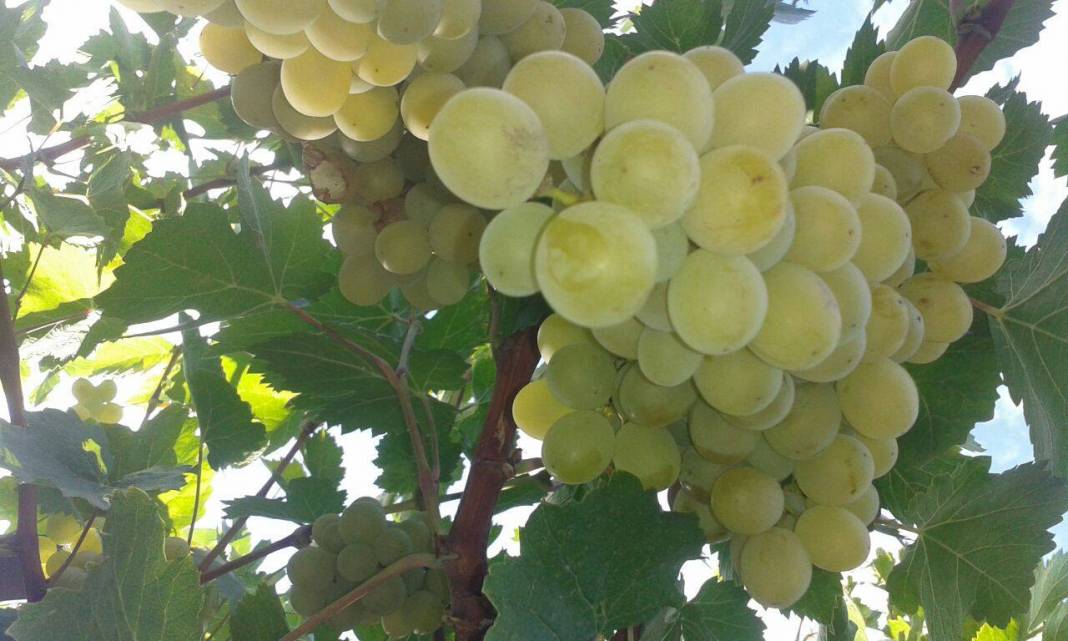 Karaman Adaköy Köyü Resimleri 4