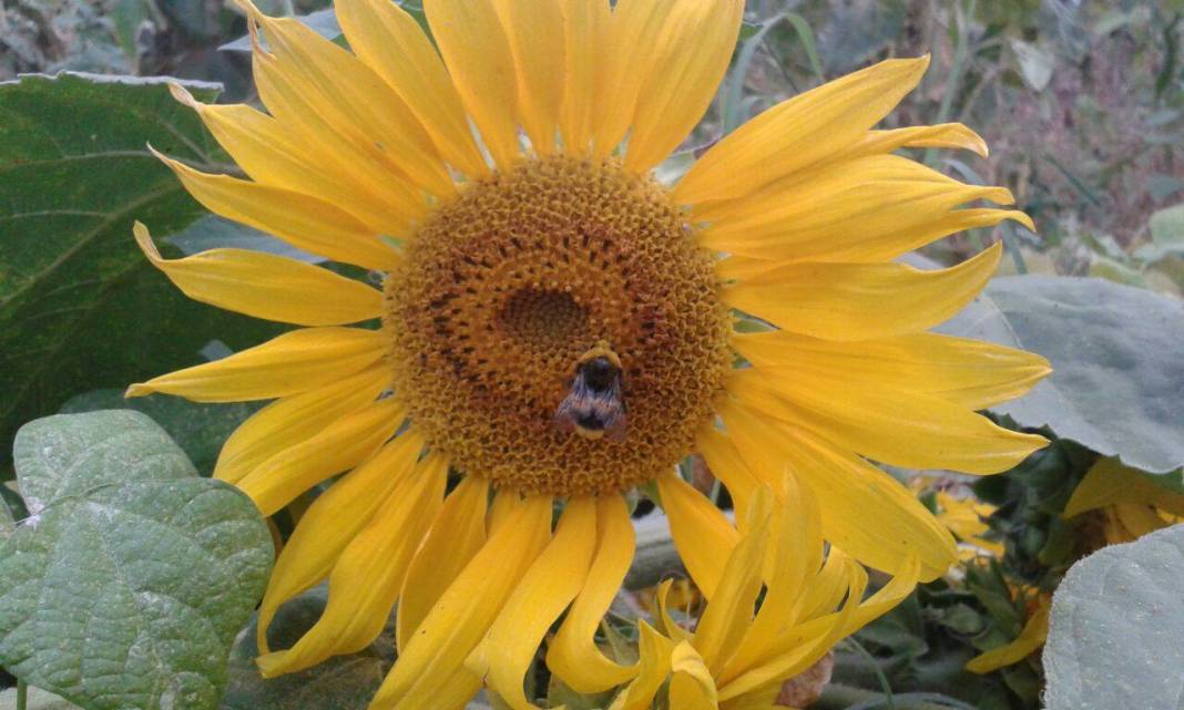 Karaman Adaköy Köyü Resimleri 6