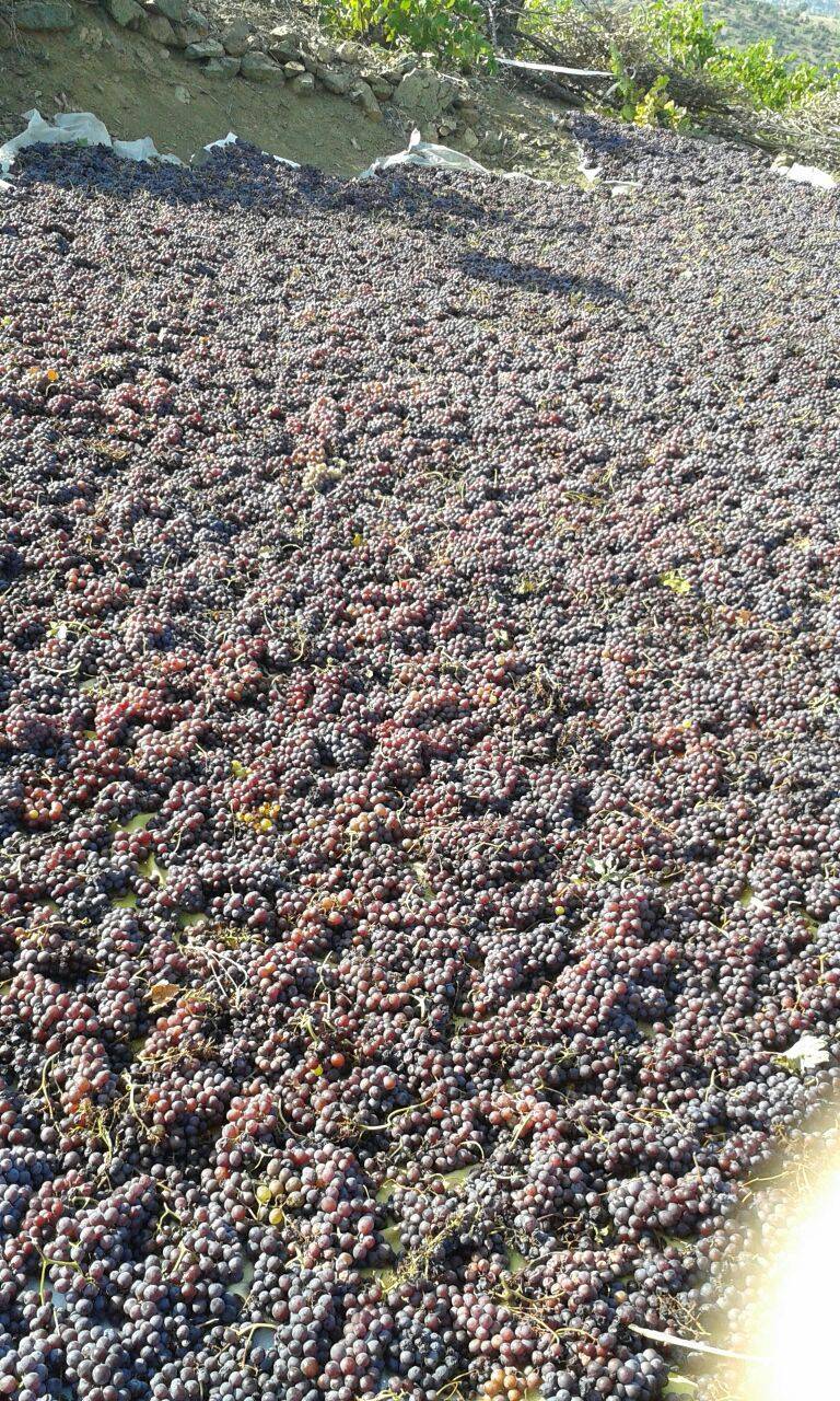 Karaman Adaköy Köyü Resimleri 7