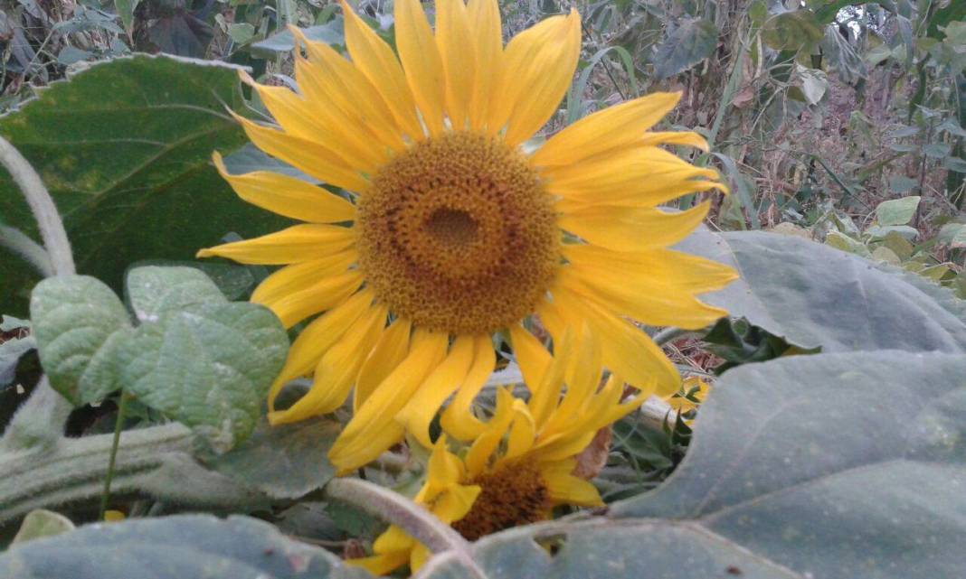 Karaman Adaköy Köyü Resimleri 8