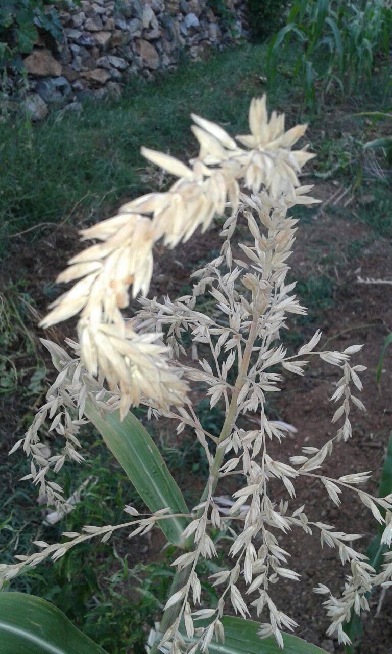 Karaman Adaköy Köyü Resimleri 9