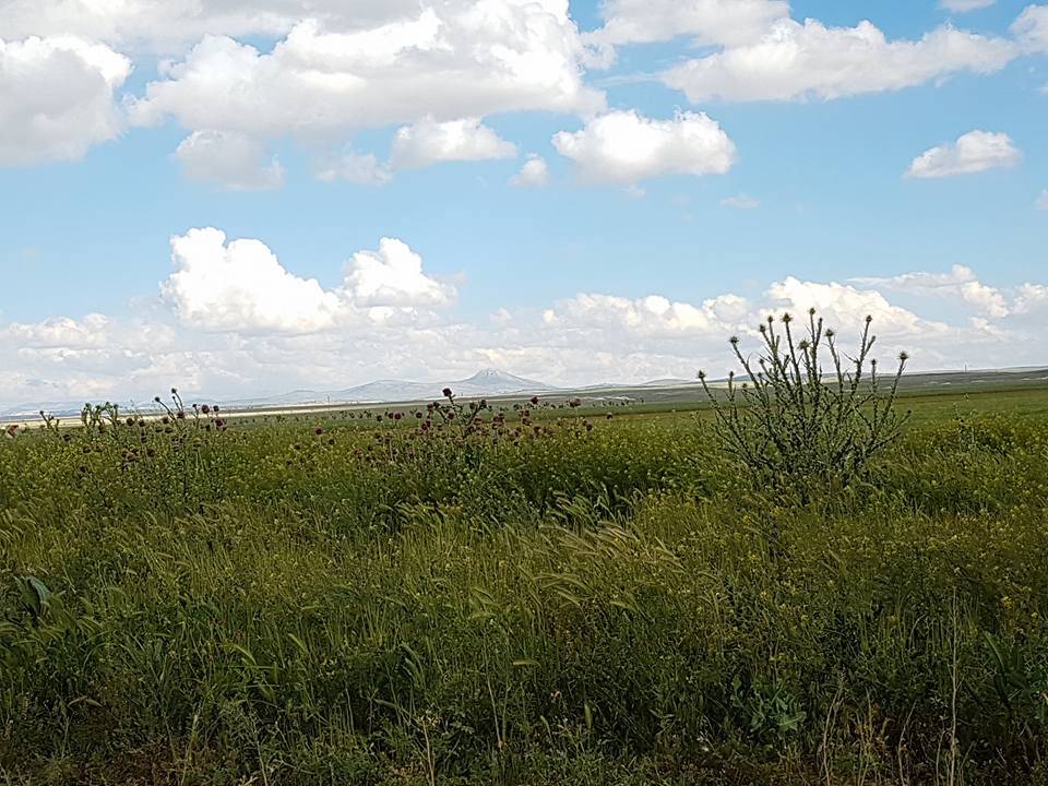 Karaman Ağılönü Köyü Resimleri 1