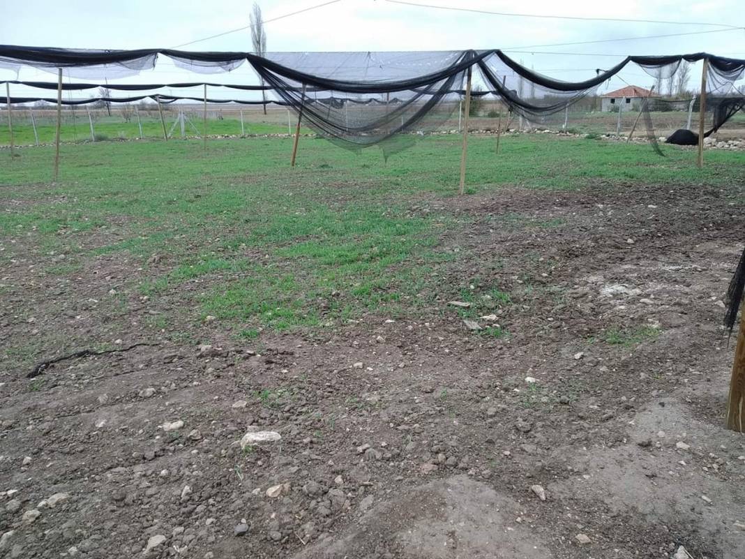 Karaman Ağılönü Köyü Resimleri 10