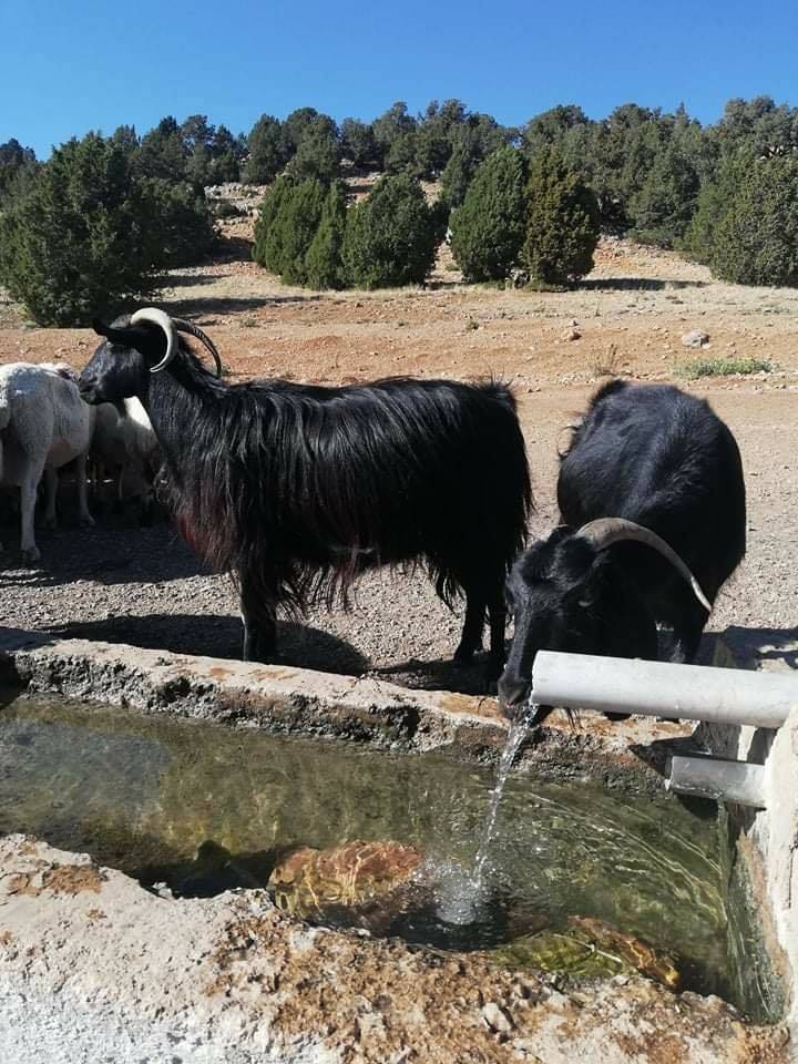 Karaman Akpınar Köyü Resimleri 15
