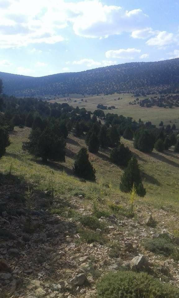 Karaman Akpınar Köyü Resimleri 16